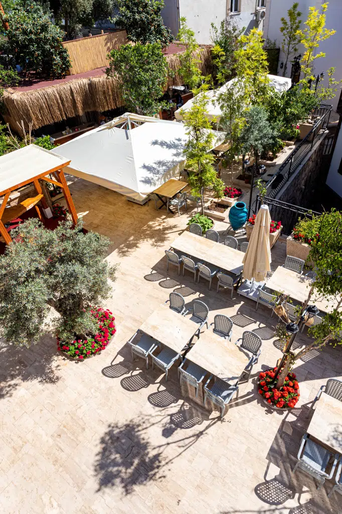 Woo Town Fotoğraf 4