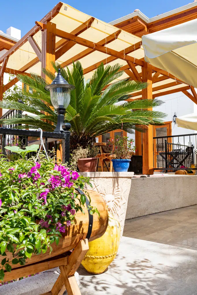 Woo Town Fotoğraf 6